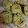 Cooksnap dari Icca untuk resep Cookies Coklat Almond Chocochips