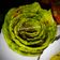 Mamta Pandya's cooksnap of when they made પાલક પરાઠા (Palak Paratha recipe in Gujarati).