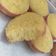 Cooksnap dari Dian Agung,SEP untuk resep Bika Ambon