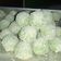 Cooksnap dari Fanny Mirza untuk resep Nastar Klepon