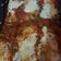 El cooksnap de Klaudia cuando hizo Canelones de pollo y verdura.