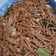 Cooksnap dari Destiani untuk resep Mie goreng Mie Spaghetti