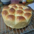 Cooksnap dari Layni Layni untuk resep Roti - Lembut Metode Tangzhong