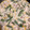 El cooksnap de Jesus Ernesto Samaniego cuando hizo Pechuga de pollo en rajas con crema.