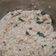 Cooksnap dari Rap's Kitchen untuk resep Nasi liwet sunda