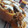 El cooksnap de Evelynn Cabrera cuando hizo Zapallo relleno (sin horno).