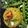 Rashmi Adhvaryu's cooksnap of when they made તુવેરદાણા ખીચડી (Tuverdana Khichdi Recipe In Gujarati).