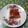 El cooksnap de Ruth Ruiz cuando hizo Flan de vainilla esponjoso.