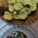 Cooksnap dari vaa untuk resep Tahu Pletok