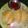 Saranya Vignesh's cooksnap of when they made Veg puffs.