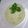 Helga 's cooksnap of when they made Gurken-Avocado Gazpacho.