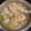 law law 的 鮭魚豆腐味噌湯 cooksnap