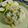 Cooksnap dari RB Kitchen untuk resep Nasi Goreng Mentega Kakap Fillet