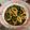 winnie chang 的 三杯中卷 cooksnap
