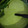El cooksnap de helln moonblack cuando hizo Crema de calabaza.