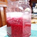 El cooksnap de Caro González Schell cuando hizo Mermelada de frambuesas y arándanos rojos.
