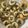 Cooksnap dari hartati ruslan untuk resep Kue Cubit Lembut