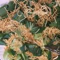 effie23!'s cooksnap of when they made #salads#Crispy Bok choy salad.