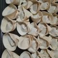 Cooksnap dari Diyana Suparwoko untuk resep Gyoza Ayam Udang