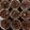 Cooksnap dari Stefany Rhema untuk resep Triple Choco Muffin