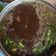 Cooksnap dari Sagita 🥰 untuk resep Rawon Super Enak