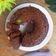 Cooksnap dari Indah Tuwiarsih untuk resep Bolu karamel/bolu sarang semut 4 telur