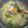 Cooksnap dari Ayude K untuk resep Sup Oyong