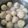 Cooksnap dari Rey untuk resep Bakso ikan tuna