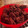 El cooksnap de Lucía Serafini cuando hizo Brownie de chocolate y banana.