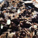 Cooksnap dari Inayah Thalib untuk resep Brownies Fudge Putel