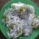 Cooksnap dari Cintia untuk resep Kue Lumpang
