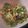 El cooksnap de Eduardo Agudo Alba cuando hizo Ensalada tibia Lazos vegetal pollo, roquefort, cherry.