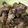 Tursina's cooksnap of when they made Garlic, Butter Herb Wings Baked.