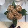Cooksnap của Mai Lan khi họ làm theo món Nem nắm Giao Thuỷ