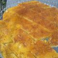 کوک اسنپ Sara Moosavian بعد از امتحان کردن کیک باقلوایی (کیک شربتی).
