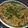 Swati Gupta का कुकस्नैप जब उन्होंने मैगी नूडल्स (Maggi Noodles recipe in hindi) बनाया था।