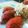 Cooksnap από Νικόλ_ στη συνταγή Υγιεινά Σουτζουκάκια χωρίς τηγάνισμα