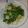 陳美惠 的 清炒奶油白菜 cooksnap