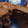 El cooksnap de Mireia cuando hizo Bizcocho vegano de plátano y chocolate.
