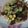 趙蓓蒂 的 蒜炒小白菜玉米筍 cooksnap