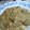 El cooksnap de Marga cuando hizo Solomillo de cerdo con salsa de champiñones.