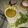 Rupa Tiwari का कुकस्नैप जब उन्होंने आम की खट्टी मीठी चटनी(aam ki khatti meethi chutney recipe in hindi) बनाया था।