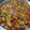 El cooksnap de Ana Hepa cuando hizo Calabazas a la mexicana con carne de cerdo.