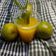 Rekha Ramchandani's cooksnap of when they made ફ્રેશ ઓરેન્જ જ્યુસ (Fresh Orange Juice Recipe In Gujarati).