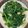 人如其食 的 蒜炒地瓜葉 cooksnap