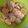 El cooksnap de Andrea vila cuando hizo Galletas de naranjas.