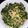 Cooksnap dari Wahita untuk resep Urap Sayuran (daun pepaya,kangkung,tauge)