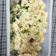 thakkarmansi's cooksnap of when they made ઉપમા(Upma Recipe in Gujarati).