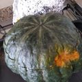 El cooksnap de Marisa cuando hizo Zapallo relleno vegetarianoal horno.