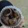 Cooksnap dari Dee Rupiee untuk resep Brownies Mini Panggang